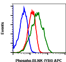 Phospho-BLNK (Tyr84) rabbit mAb APC conjugate Antibody