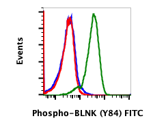 Phospho-BLNK (Tyr84) rabbit mAb FITC conjugate Antibody