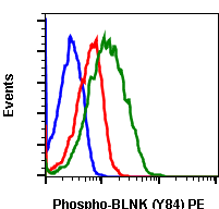 Phospho-BLNK (Tyr84) rabbit mAb PE conjugate Antibody