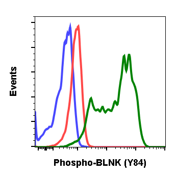 Phospho-BLNK (Tyr84) rabbit mAb Antibody