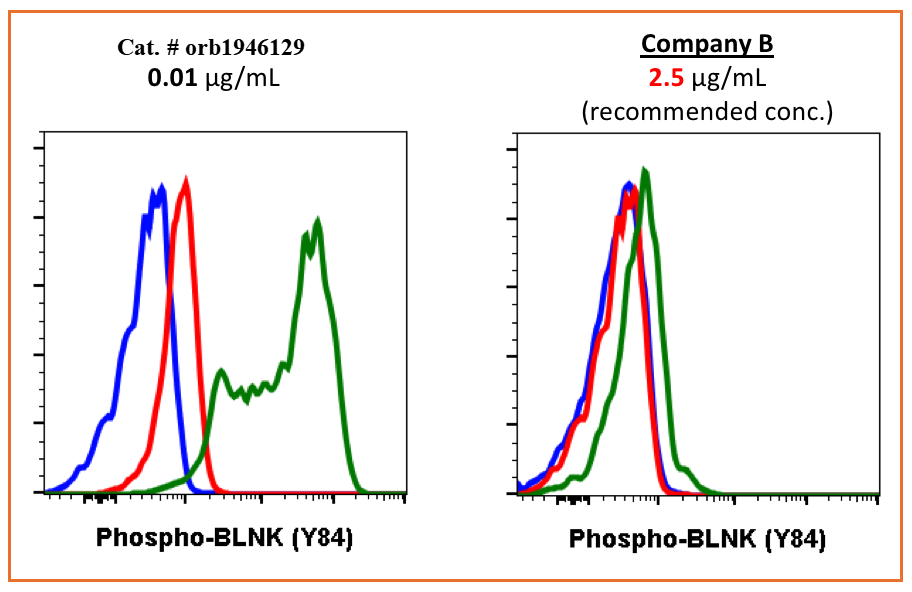 Phospho-BLNK (Tyr84) rabbit mAb Antibody