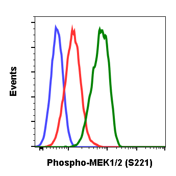 Phospho-MEK1/2 (Ser221) rabbit mAb Antibody