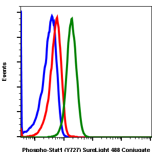 Phospho-Stat1 (Ser727) rabbit mAb SureLight488 conjugate Antibody