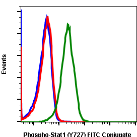 Phospho-Stat1 (Ser727) rabbit mAb FITC conjugate Antibody