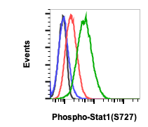 Phospho-Stat1 (Ser727) rabbit mAb Antibody