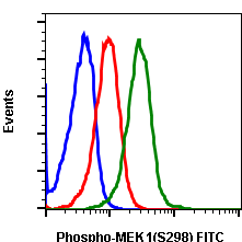 Phospho-MEK1 (Ser298) rabbit mAb FITC conjugate Antibody