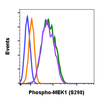 Phospho-MEK1 (Ser298) rabbit mAb Antibody