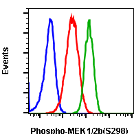 Phospho-MEK1 (Ser298) rabbit mAb Antibody