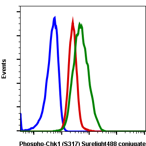 Phospho-Chk1 (Ser317) rabbit mAb SureLight 488 conjugate Antibody