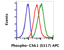 Phospho-Chk1 (Ser317) rabbit mAb APC conjugate Antibody