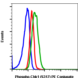 Phospho-Chk1 (Ser317) rabbit mAb PE conjugate Antibody