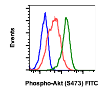 Phospho-Akt1 (Ser473) rabbit mAb FITC conjugate Antibody