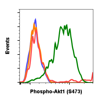 Phospho-Akt1 (Ser473) rabbit mAb Antibody
