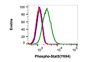 Phospho-Stat5 (Tyr694) rabbit mAb Antibody