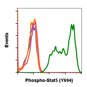 Phospho-Stat5 (Tyr694) rabbit mAb Antibody