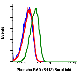 Phospho-BAD (Ser112) rabbit mAb SureLight 488 conjugate Antibody
