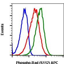 Phospho-BAD (Ser112) rabbit mAb APC conjugate Antibody