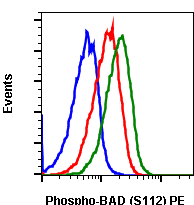 Phospho-BAD (Ser112) rabbit mAb PE conjugate Antibody