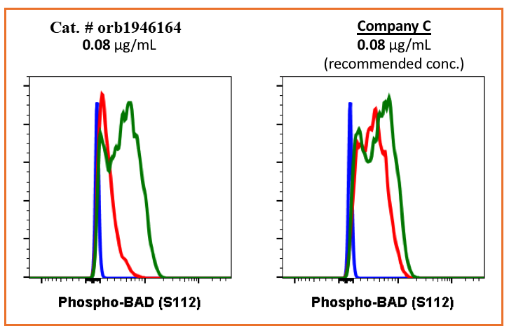 Phospho-BAD (Ser112) rabbit mAb Antibody
