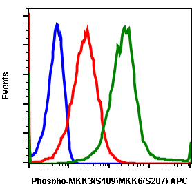 Phospho-MKK3 (S189)/MKK6 (S207) rabbit mAb APC conjugate Antibody