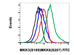 Phospho-MKK3 (Ser189)/MKK6 (Ser207) rabbit mAb FITC conjugate Antibody
