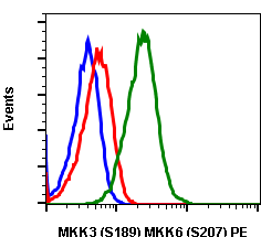 Phospho-MKK3 (S189)/MKK6 (S207) rabbit mAb PE conjugate Antibody