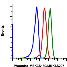 Phospho-MKK3 (Ser189)/MKK6 (Ser207) rabbit mAb Antibody