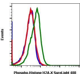 Phospho-Histone H2A.X (Ser139) rabbit mAb SureLight488 conjugate Antibody