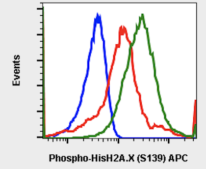 Phospho-Histone H2A.X (Ser139) rabbit mAb APC conjugate Antibody