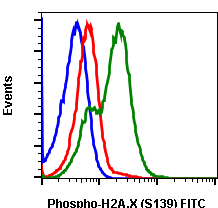 Phospho-Histone H2A.X (Ser139) rabbit mAb FITC conjugate Antibody