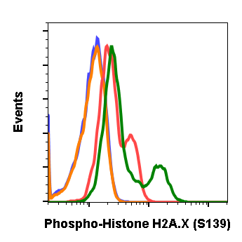 Phospho-Histone H2A.X (Ser139) rabbit mAb Antibody