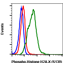 Phospho-Histone H2A.X (Ser139) rabbit mAb Antibody