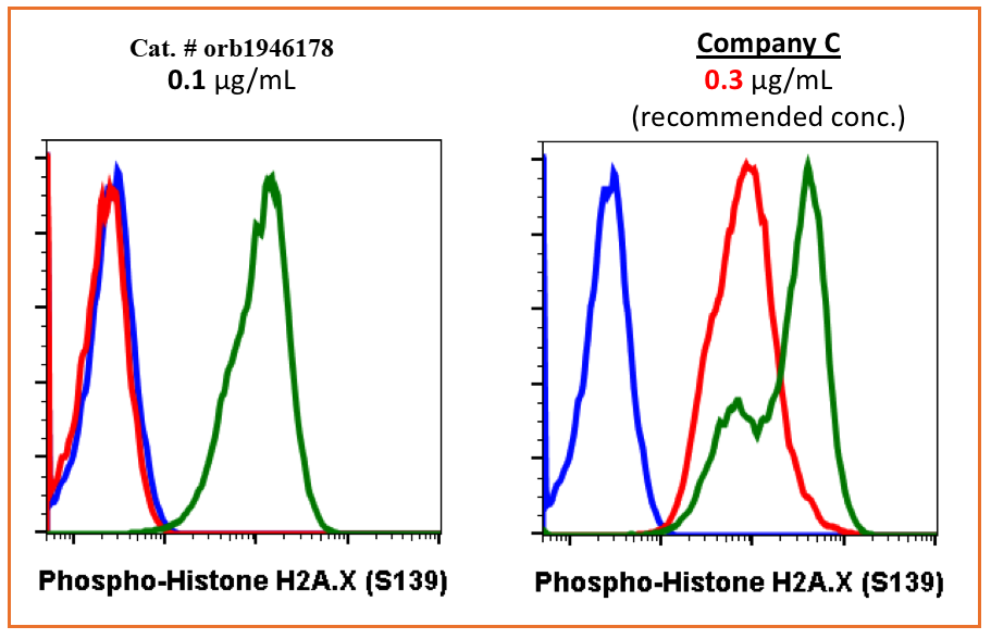 Phospho-Histone H2A.X (Ser139) rabbit mAb Antibody
