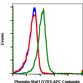 Phospho-Stat1 (Tyr701) rabbit mAb APC conjugate Antibody