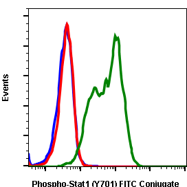 Phospho-Stat1 (Tyr701) rabbit mAb FITC conjugate Antibody