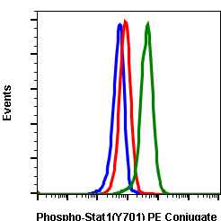 Phospho-Stat1 (Tyr701) rabbit mAb PE conjugate Antibody
