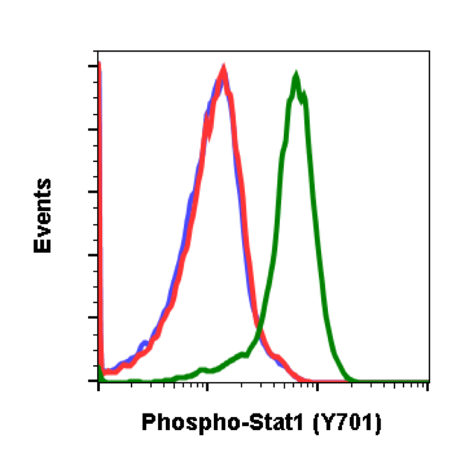 Phospho-Stat1 (Tyr701) rabbit mAb Antibody