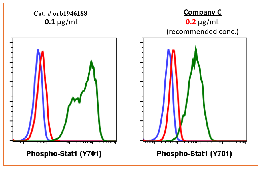 Phospho-Stat1 (Tyr701) rabbit mAb Antibody