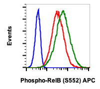 Phospho-RelB (Ser552) rabbit mAb APC conjugate Antibody