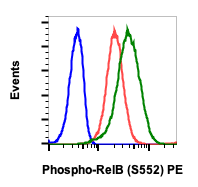 Phospho-RelB (Ser552) rabbit mAb PE conjugate Antibody
