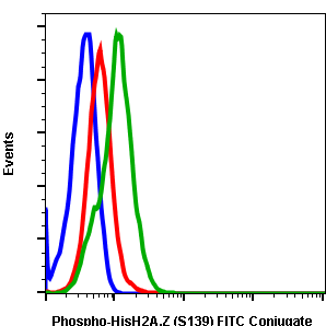 Phospho-Histone H2A.X (Ser139) rabbit mAb FITC conjugate Antibody