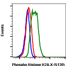 Phospho-Histone H2A.X (Ser139) rabbit mAb Antibody