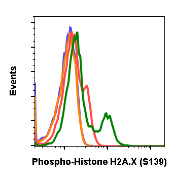 Phospho-Histone H2A.X (Ser139) rabbit mAb Antibody