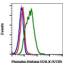 Phospho-Histone H2A.X (Ser139) rabbit mAb Antibody
