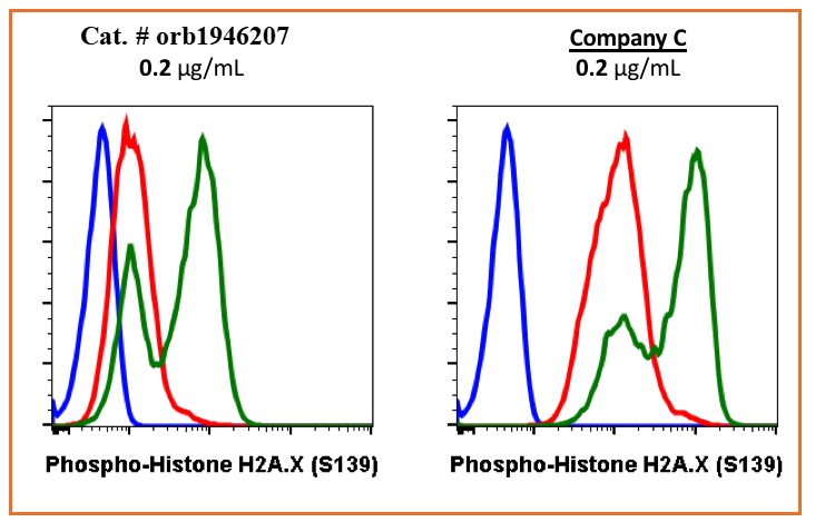 Phospho-Histone H2A.X (Ser139) rabbit mAb Antibody