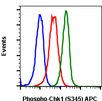 Phospho-Chk1 (Ser345) rabbit mAb APC conjugate Antibody