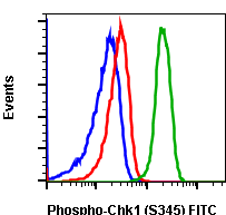 Phospho-Chk1 (Ser345) rabbit mAb FITC conjugate Antibody