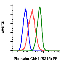 Phospho-Chk1 (Ser345) rabbit mAb PE conjugate Antibody