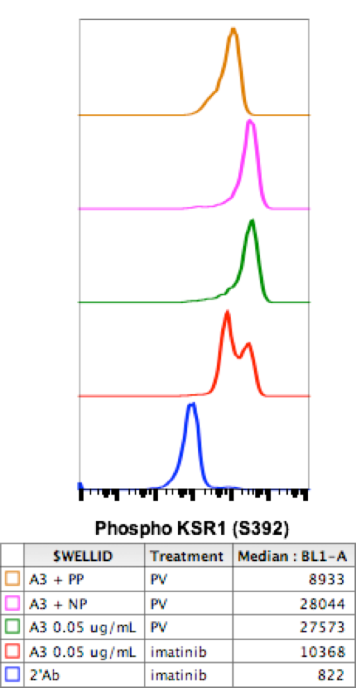Phospho-KSR1 (Ser392) rabbit mAb Antibody