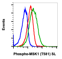 Phospho-MSK1 (Thr581) rabbit mAb SureLight488 conjugate Antibody